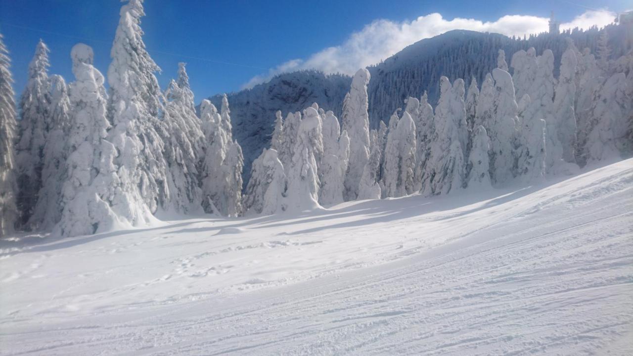 Apartament 2706 Alpin Resort, Etaj 7, Poiana Brasov Εξωτερικό φωτογραφία